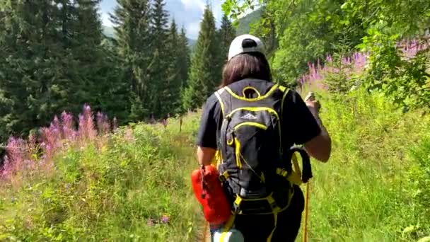 Vrouw Wandelaar Met Rugzak Karpaten Bergpad Zonnige Zomerdag Oekraïne — Stockvideo