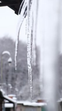 Kış mevsimi eriyen buzlar kapanan su damlaları