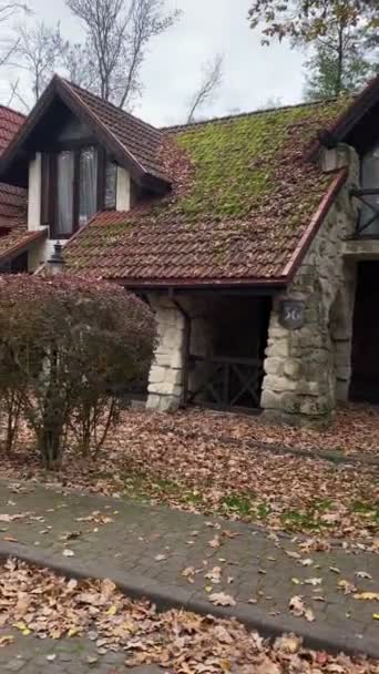First Person View Walking Neighborhood Beautiful Houses Autumn Season — Video Stock