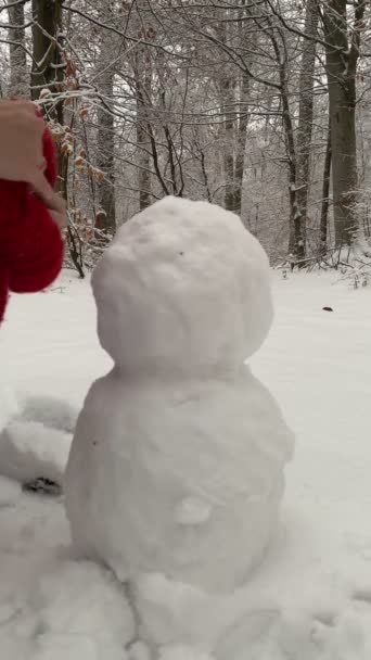 Γυναίκα Κάνει Χιονάνθρωπο Από Κοντά Βάλει Κόκκινο Καπέλο — Αρχείο Βίντεο