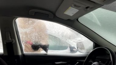 Adam kar fırtınası sonrası araba temizliyor. İçerideki pencereler buzlu.