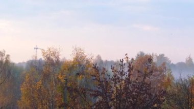 colorful autumn trees blue sky copy space