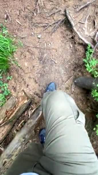 Pov Person View Man Walking Forest Trail Happy Woman Camera — Stockvideo
