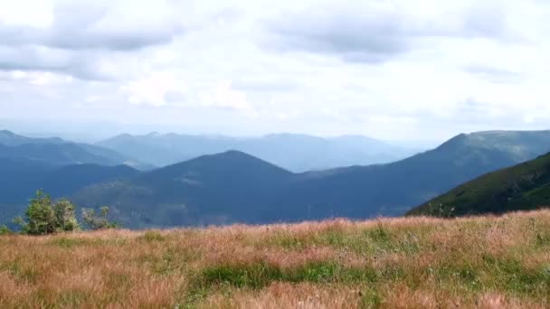 Little Cute Girl Running Mountains Background Carpathian Ukraine — Wideo stockowe