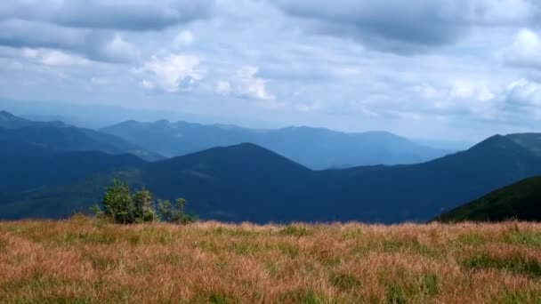 Little Cute Girl Running Mountains Background Carpathian Ukraine — Stockvideo