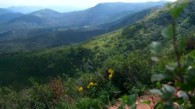 father with daughter at mountains trail in ukrainian carpathians summertime