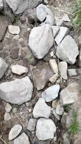 登山道を歩く最初の人 ウクライナのカルパティア — ストック動画