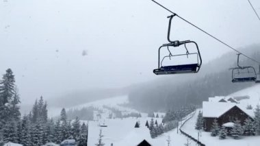 Kar kayağı merkezinin fotokopi alanıyla kaplı çam ağacının görüntüsü