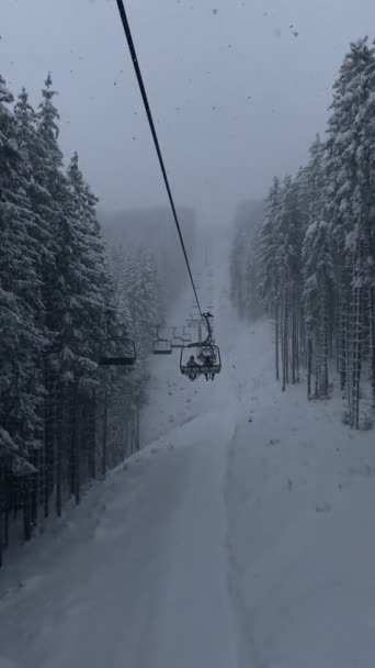 Uitzicht Stoeltjeslift Dennenboom Bedekt Met Sneeuw Skigebied Kopieerruimte — Stockvideo
