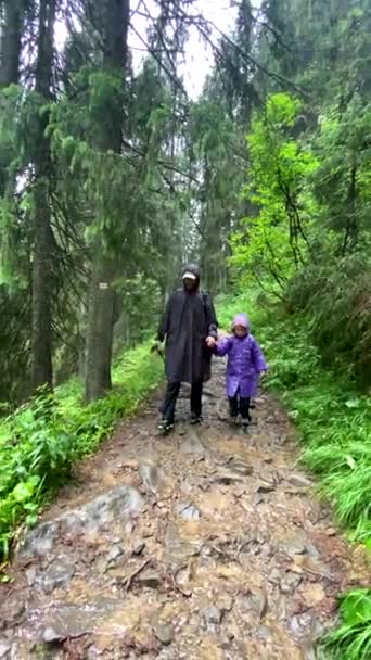 Vader Met Peuter Dochter Regenjassen Wandelen Door Bergen Pad Regenachtig — Stockvideo