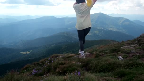カルパチア山脈の崖にウクライナ国旗を掲げた幸せな女性が — ストック動画