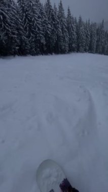 Pov view snowboardçusu pudra günü kış tatilinde bedavaya kayıyor.