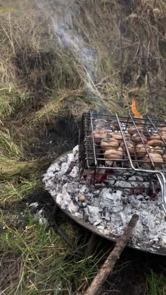 バーベキューの火でキノコを調理 キャンプ場のコピースペース — ストック動画