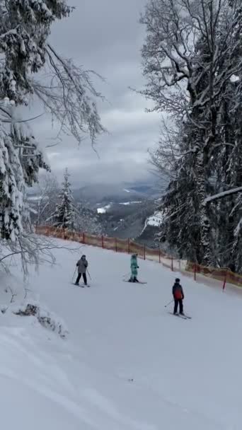 Snowboardåkare Och Skidåkare Skidbacke Vackra Berg Bakgrunden — Stockvideo