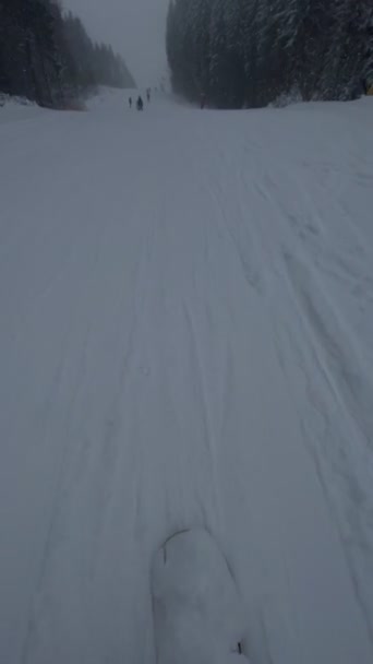 Widok Snowboard Stoku Narciarskim Przy Prędkości Dzień Proszku — Wideo stockowe