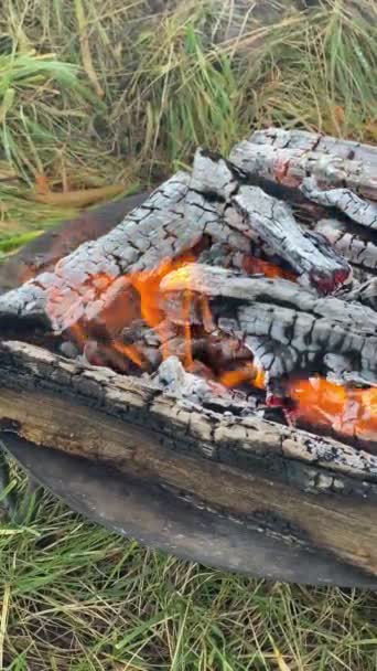 Fireplace Close Burning Woods Outdoors — Stock Video