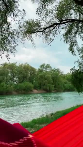 Θέα Από Την Αιώρα Του Γαλάζιου Ποταμού Αντίγραφο Χώρο — Αρχείο Βίντεο