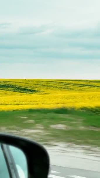 Araba Yolculuğundaki Çiçek Açan Tarlanın Manzarası — Stok video