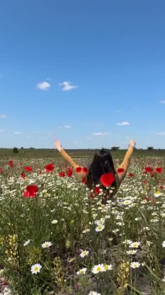 Mulher Feliz Papoula Com Camomila Flores Campo Verão Dia Ensolarado — Vídeo de Stock