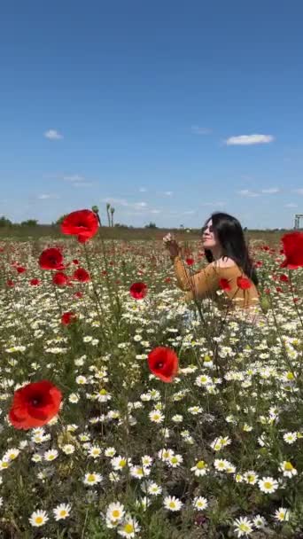 罂粟中快乐的女人 开着菊花 田野里夏天阳光明媚 — 图库视频影像