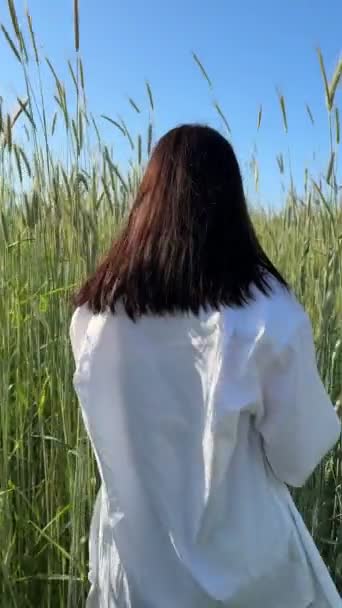 Счастливая Женщина Ходит Пшеничному Полю Летний Солнечный День — стоковое видео