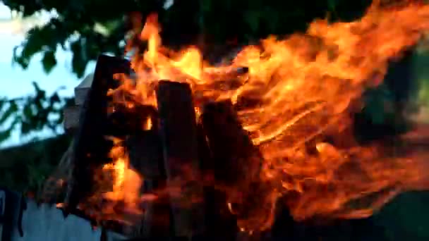 Şömine Şenlik Ateşi Yakın — Stok video