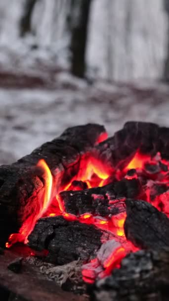 Τζάκι Στο Χώρο Χειμερινού Κάμπινγκ Close Ζεστό Φλόγα — Αρχείο Βίντεο