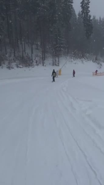 파우더를 스키가 움직이는 — 비디오