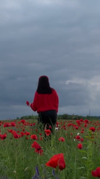 Szczęśliwy Kobieta Środku Maku Kwiaty Pole Zachmurzenie Pogoda — Wideo stockowe