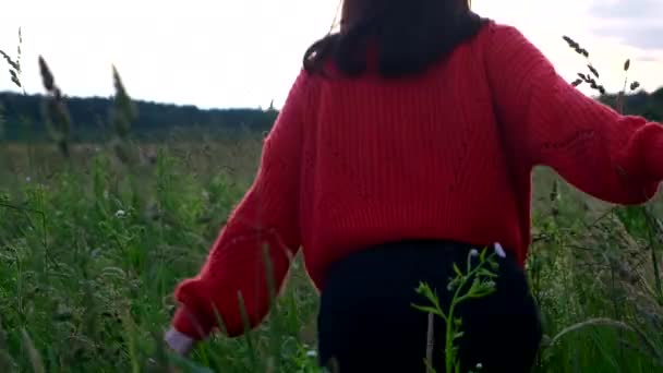 Lycklig Kvinna Som Springer Genom Vetefält Solnedgången Kopiera Utrymme — Stockvideo