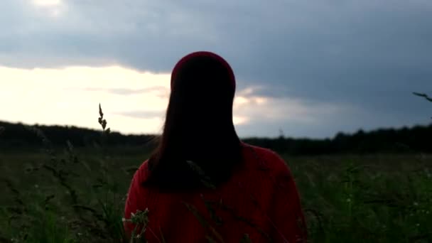 Buğday Tarlasının Ortasında Duran Kadının Arkasından Manzara Bulutlu — Stok video