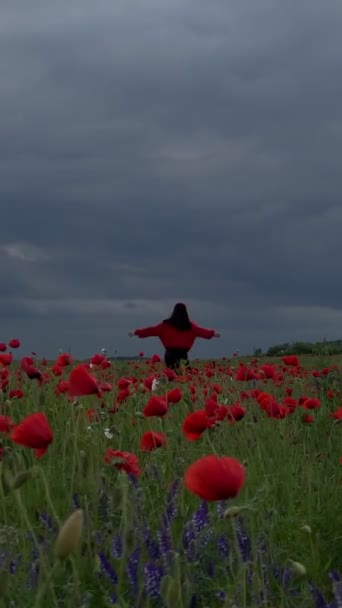 Šťastná Žena Uprostřed Máku Květiny Pole Zataženo Počasí — Stock video