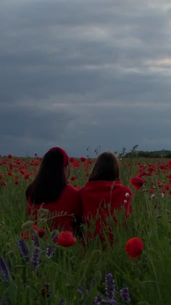 Pár Ženy Sedí Uprostřed Pole Makových Květin Při Západu Slunce — Stock video