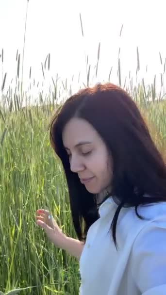 Щаслива Жінка Йде Пшеничним Полем Літо Сонячний День — стокове відео