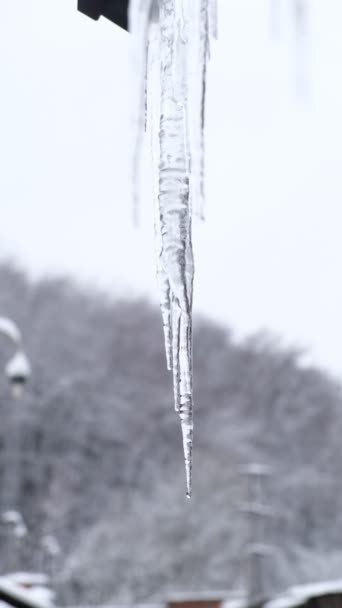 冬の氷の融解水が落ちる — ストック動画