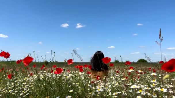 Szczęśliwa Kobieta Maku Rumianku Kwiaty Pole Lato Słoneczny Dzień — Wideo stockowe