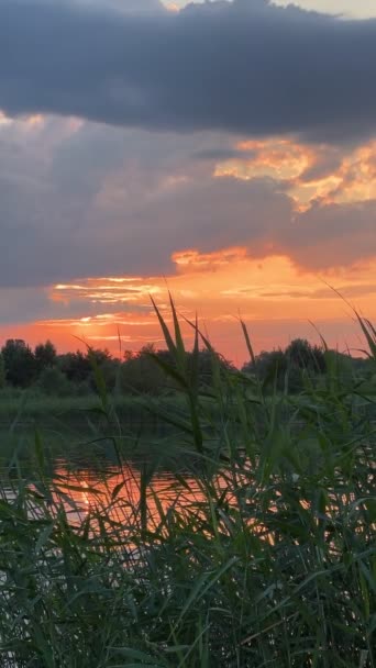 Захід Сонця Над Озером Літній Час — стокове відео
