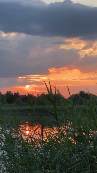 Západ Slunce Nad Jezerem Letní Čas — Stock video