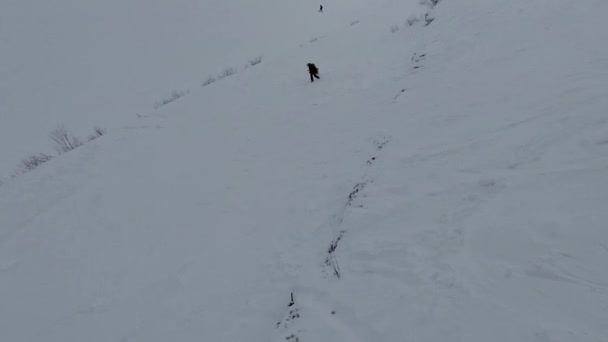 Άνθρωπος Snowboarder Σκυλί Στην Πλαγιά Του Σκι — Αρχείο Βίντεο