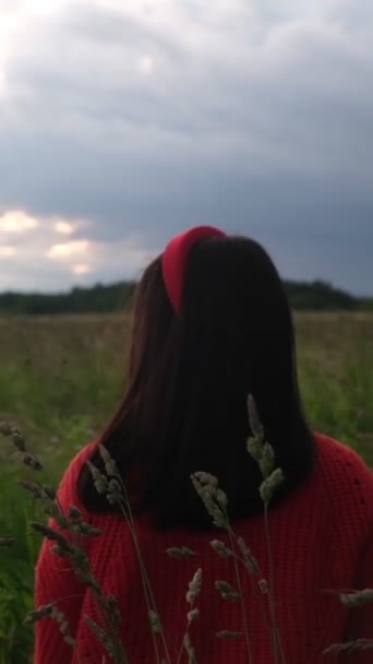 Вид Ззаду Жінки Стоїть Посеред Пшеничного Поля Похмура Погода — стокове відео