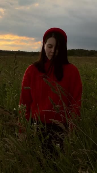 Вид Ззаду Жінки Стоїть Посеред Пшеничного Поля Похмура Погода — стокове відео