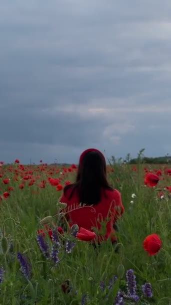 Щаслива Жінка Середині Поля Макових Квітів Похмура Погода — стокове відео