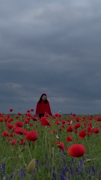 Gelukkig Vrouw Het Midden Van Papaver Bloemen Veld Bewolkt Weer — Stockvideo