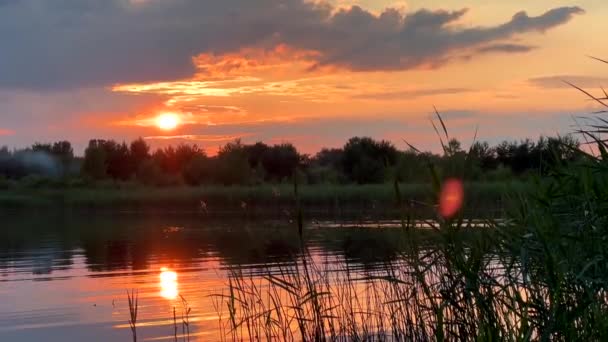 Захід Сонця Над Озером Літній Час — стокове відео