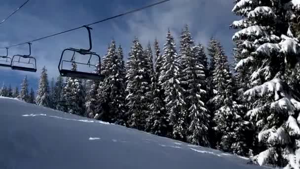 Άποψη Του Πεύκου Καρέκλα Ανελκυστήρα Καλύπτεται Χιόνι Χιονοδρομικό Χώρο Αντίγραφο — Αρχείο Βίντεο