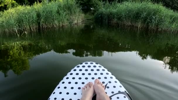 Pov View Floating Supboard River Shore Calm Crystal Water — Stock Video
