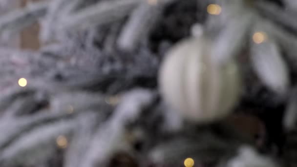 白いメガネのおもちゃと雪の枝で飾られたクリスマスツリー — ストック動画