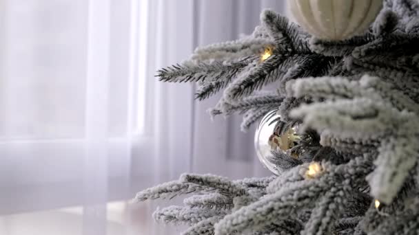 雪に覆われた白い枝にクリスマスツリーを飾る女性の手 — ストック動画