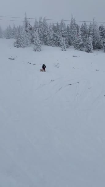 Man Snowboardåkare Med Hund Skidbacken — Stockvideo