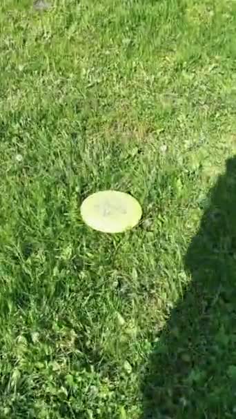 Família Feliz Jogando Frisbee Verão Campo Verde Livre — Vídeo de Stock